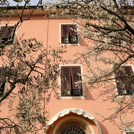 Angelini Dal 1911 Hotell Lucca Exteriör bild