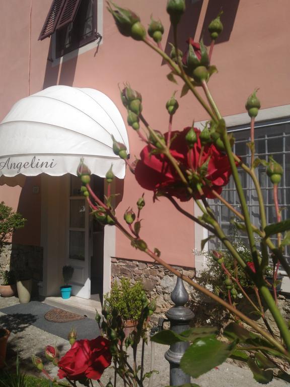 Angelini Dal 1911 Hotell Lucca Exteriör bild